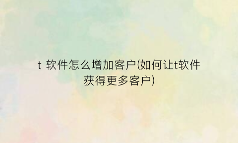 t软件怎么增加客户(如何让t软件获得更多客户)
